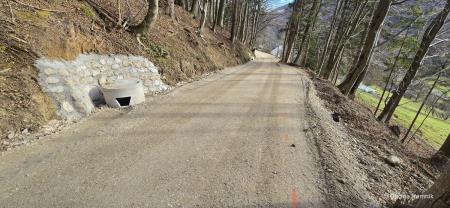 Špitalič (2)